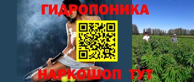 гидра Кингисепп