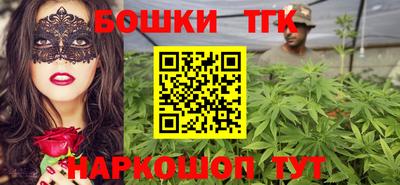 гидра Кингисепп