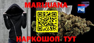 гидра Кингисепп