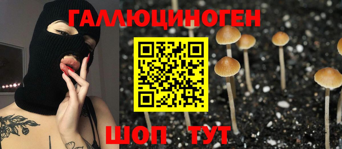 Галлюциногенные грибы MAGIC MUSHROOMS Кубинка