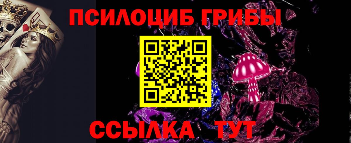 Галлюциногенные грибы Psilocybine cubensis  Вход с VPN  Кубинка 